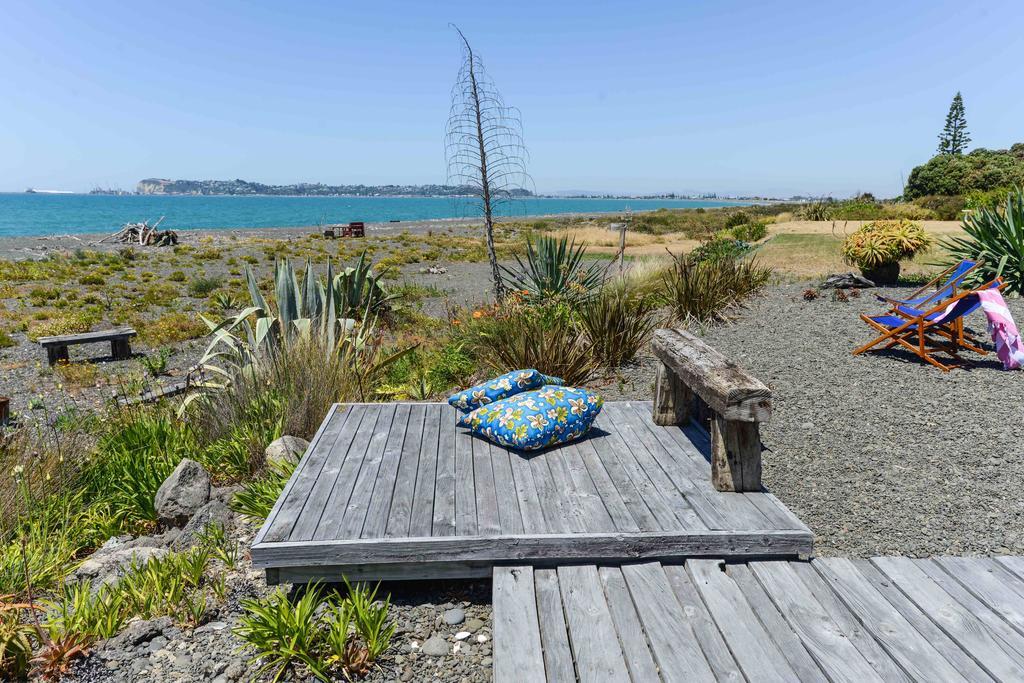 Absolute Beachfront B&B Napier Eksteriør bilde